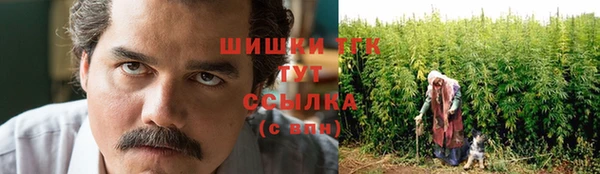 spice Сосновый Бор