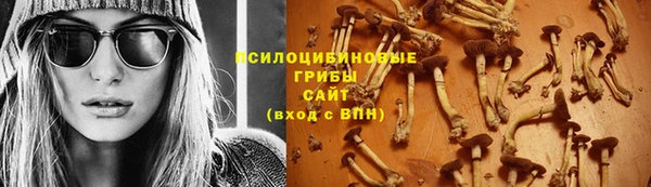spice Сосновый Бор