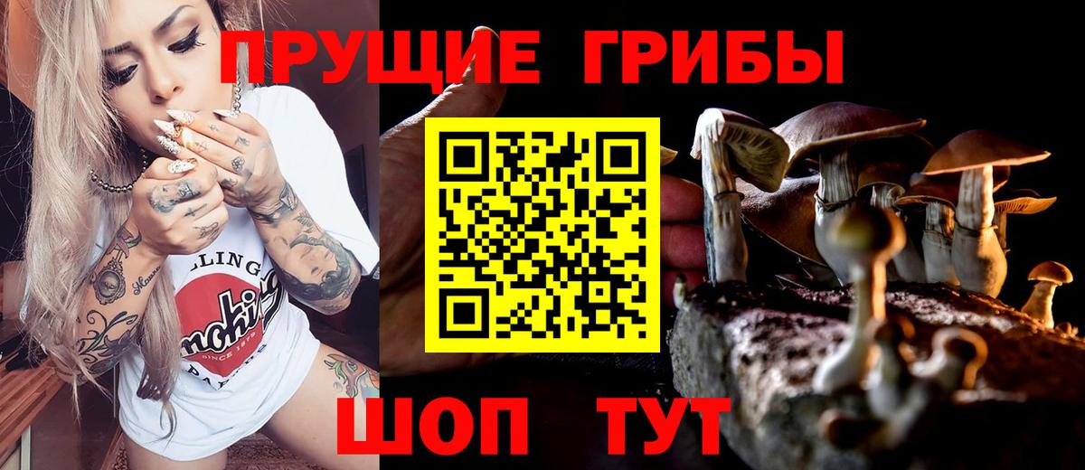 Фролово  Псилоцибиновые грибы мицелий  как найти наркотики  Вход с VPN  Галлюциногенные грибы Magic Shrooms 